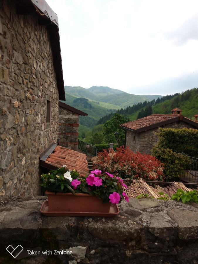 Villa Agriturismo Ristoro Del Cavaliere Piazza al Serchio Exterior foto