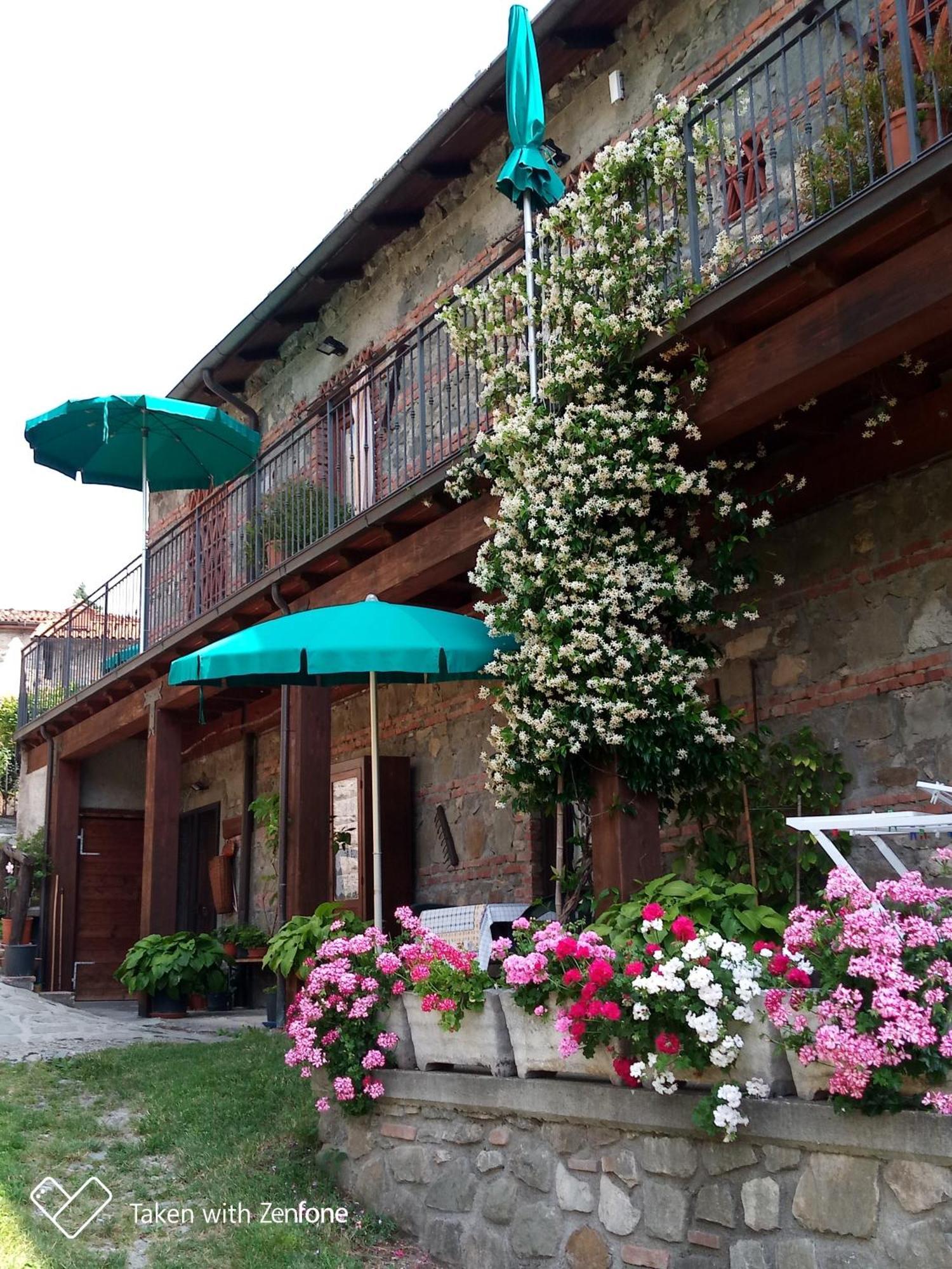 Villa Agriturismo Ristoro Del Cavaliere Piazza al Serchio Exterior foto
